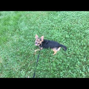 Meet your Posher, Danitza